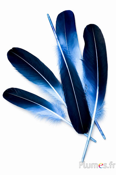 Zwaan zijde - 25-30 cm - blauw hemel-donkerblauw